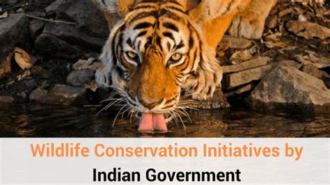 Wildlife Conservation Initiatives by Indian Government