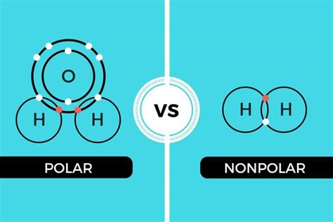 Polar vs Nonpolar - It's all about sharing, on an atomic level