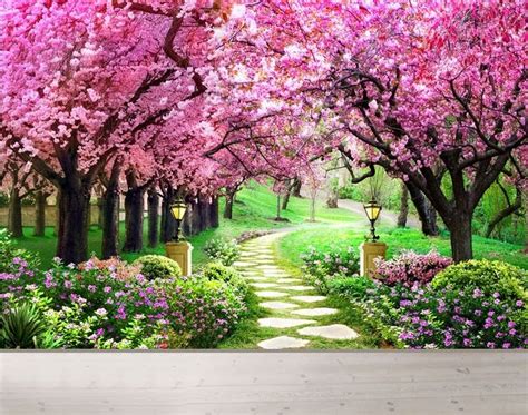 background pemandangan taman bunga sakura - Christian Kelly