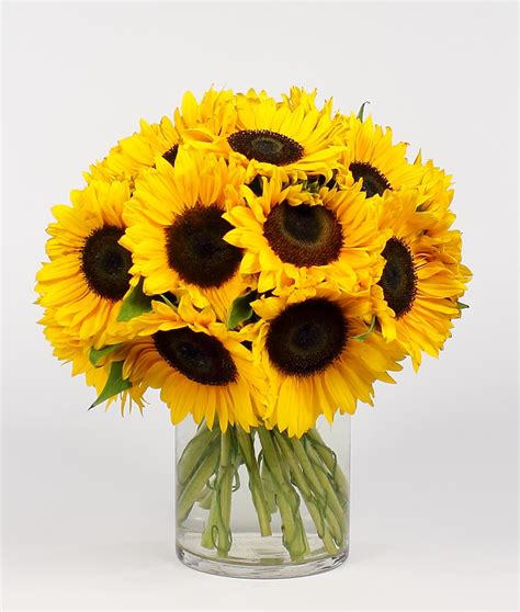 SIZZLING SUNFLOWER BOUQUET in Saint Paul, MN | Iron Violets Design Studio