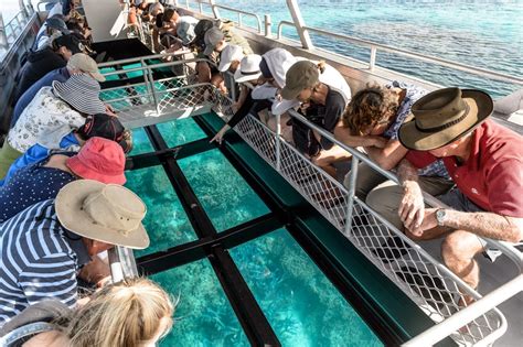 Glass Bottom Boat 10 Lady Musgrave Experience Great Barrier Reef