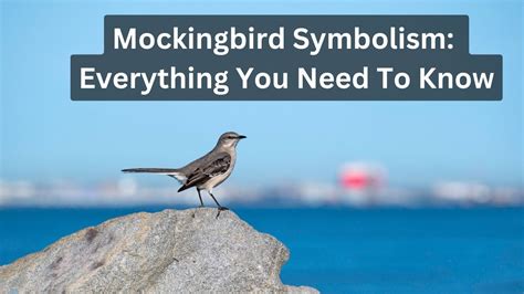 Mockingbird Symbolism: Everything You Need To Know