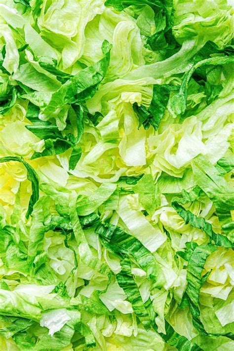 Iceberg Lettuce 101: Is It Actually Unhealthy? | Live Eat Learn