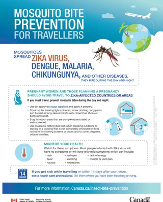 Mosquito bite prevention for travellers - Canada.ca