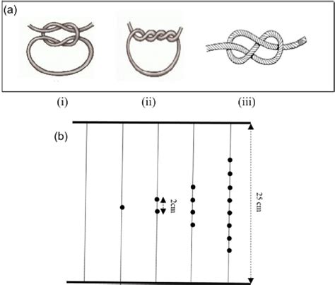 A. Utilized knots: (i) square knot (ii) surgeon's knot... | Download ...