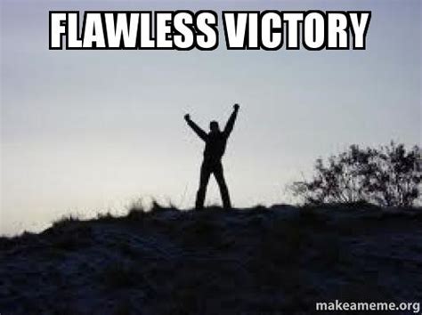 Flawless Victory | Make a Meme