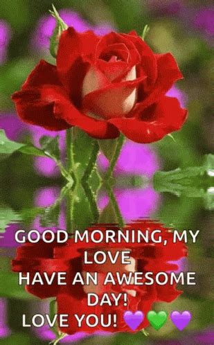 Good Morning My Love Awesome Day GIF | GIFDB.com