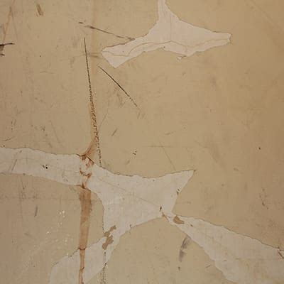 Paint Delamination: Causes And Fixes For When Paint Fails