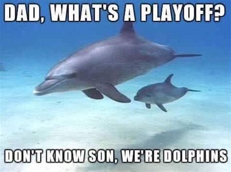 Sanitaryum | Clean Funny Pics & Clean Humor | Miami dolphins funny ...