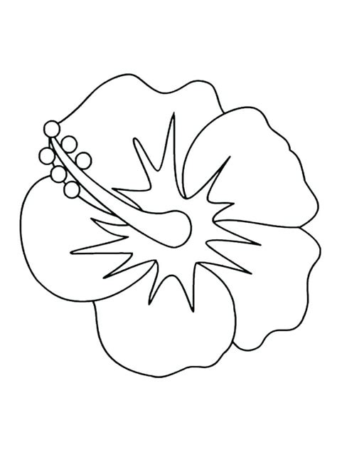 Rainforest Flowers Coloring Pages at GetColorings.com | Free printable ...