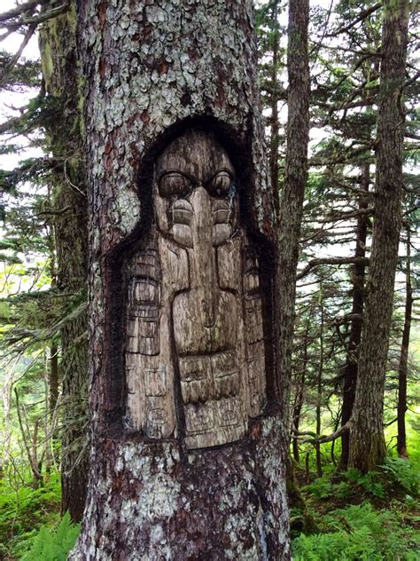 Hiking in Juneau, Alaska | Juneau, Tree, Alaska