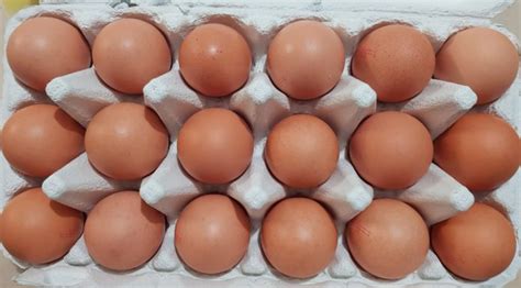 Claims free range egg labels may be false - Yanchep News Online