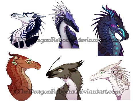 Heads in Shapes by xTheDragonRebornx | Wings of fire dragons, Wings of ...