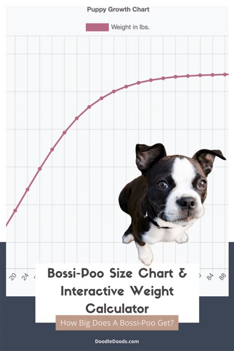 Bossi-Poo Size Chart + Interactive Weight Calculator - Doodle Doods