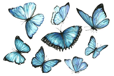 Blue Butterfly Artwork