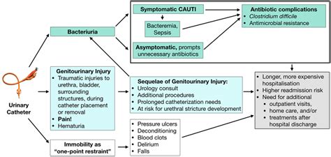 Urinary catheterization risks