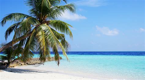 Beach Thursday Pic of the Week – Those Maldives Beaches | Beach Bar Bums