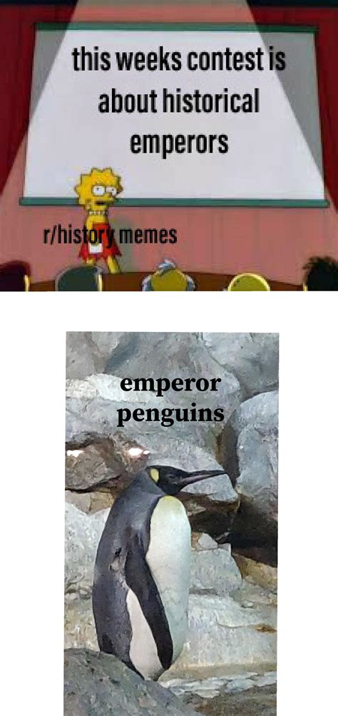 *sad penguin noises* : r/HistoryMemes