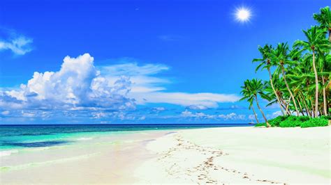 Beach Free Wallpaper Background - 30 Beautiful Free Beach Desktop ...