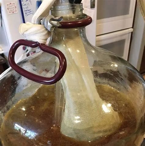 Remove Hops Before Fermentation? (Hop Oil Extraction) – Frugal Homebrew