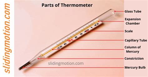 Complete guide on essential thermometer parts: names & diagram