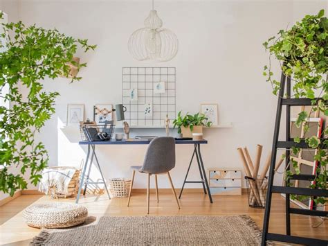 Work-At-Home Office Space Plants: Houseplants For A Home Office