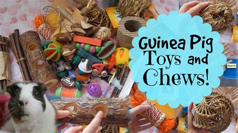 Homemade Guinea Pig Chew Toys | Wow Blog