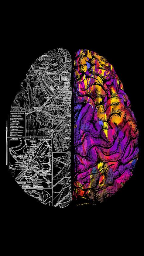 Heart and Brain, Tobe, anatomy, duality, mind, HD phone wallpaper | Peakpx