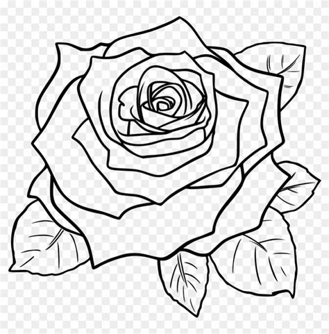 Rose Clipart Black And White Free Clip Art Images - Rose Step By Step ...