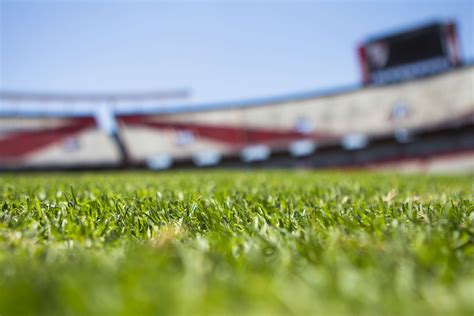 #field #grass #green #morning #soccer #stadium | World of sports ...