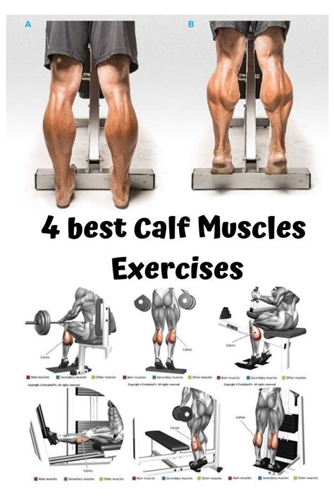 Best 4 key feature to development of your calf muscle exercise ...