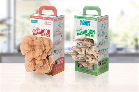 Mushroom Growing Kit – Easy Mushroom Cultivation – Learn Mushroom ...