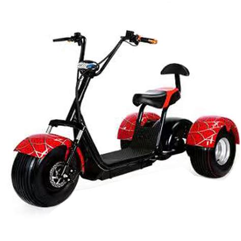 China High Quality 1000W E Trike 3 Wheel Electric Tricycle for Adult ...