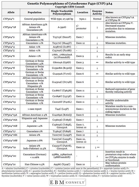 Genetic Polymorphisms of the CYP3A4 Enzyme and Potential Influence on ...