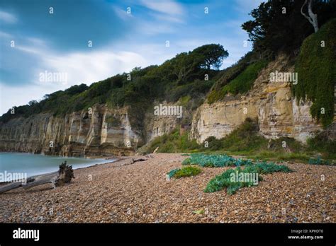 Sand dunes and beach, Camber Sands, Camber, near Rye, East Sussex ...