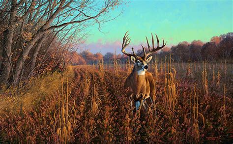 "Mel Johnson and the Beanfield Buck - Whitetail Deer" | Hunting ...