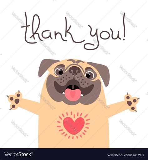 Cute dog says thank you pug with heart full Vector Image