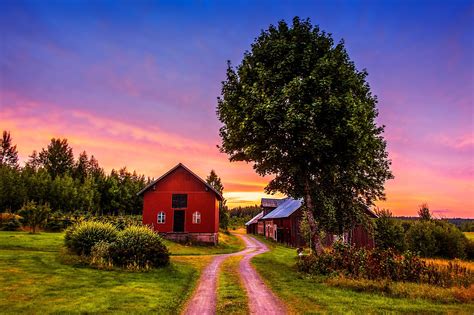 Sunset trees road home landscape rustic farm house wallpaper ...