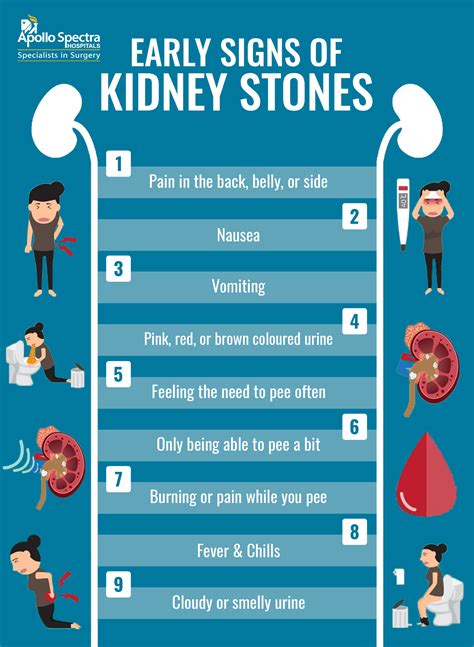 Identifying Early Signs of Kidney Stones: Precautions, & Treatment