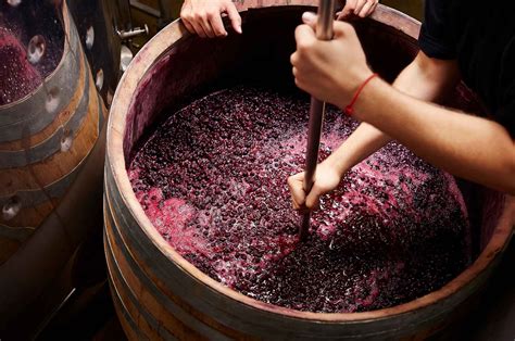 How Wine is Made: The Art Of Winemaking