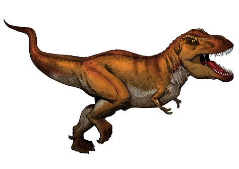 File:Tyrannosaurus Rex colored.png - Wikipedia