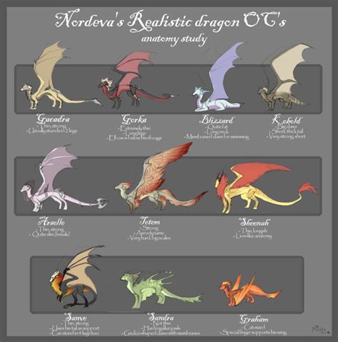 Types of dragons | Mythical creature design, Realistic dragon, Anatomy ...