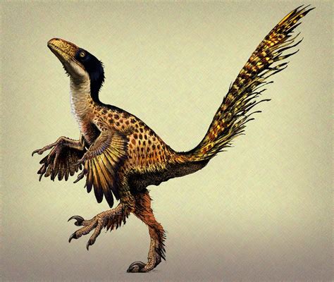 Feathered dinosaurs are very underrated in the mainstream. They're, not ...