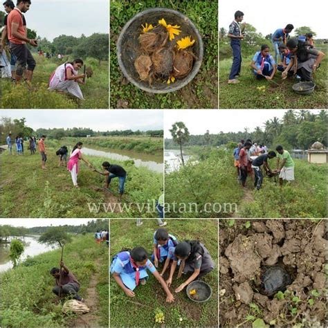 மாநில மரத்தைக் காக்கக் களமிறங்கிய இளைஞர்கள்.. கோவையில் 1 லட்சம் பனை ...