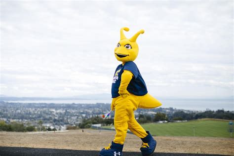 Our Mascot: Sammy the Banana Slug – UC Santa Cruz