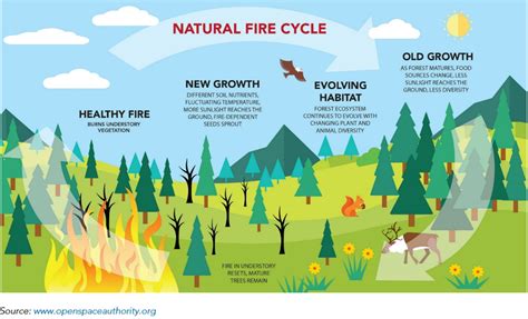 Frequently Asked Questions: Wildfire Emissions | California Air ...