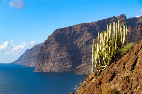 Explore the 3 Best Hiking Trails in Tenerife if you Love Nature