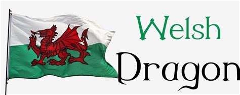 Welsh Dragon - Why is a dragon on the welsh flag? – Dragon Vibe