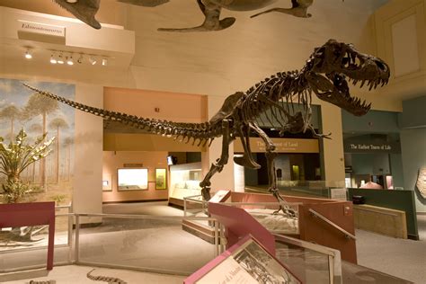 Smithsonian’s National Museum of Natural History to Build New Dinosaur ...