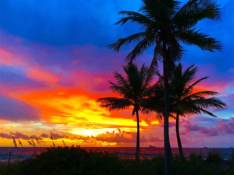 Pin by Tracy Wilson on Beach Sunrise Sunset and Palm Trees | Sunrise ...